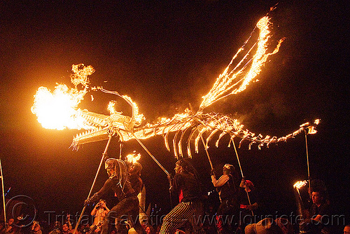 burning man - fire dragon, burning man at night, fire dragon, shiva vista