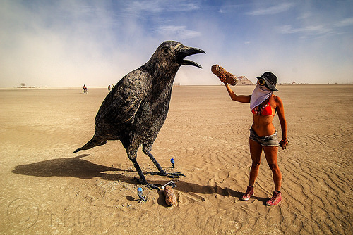burning man - giant raven bird - don't feed wild life, art installation, feeding, giant bird, giant crow, giant raven, hat, peanut, sculpture, woman