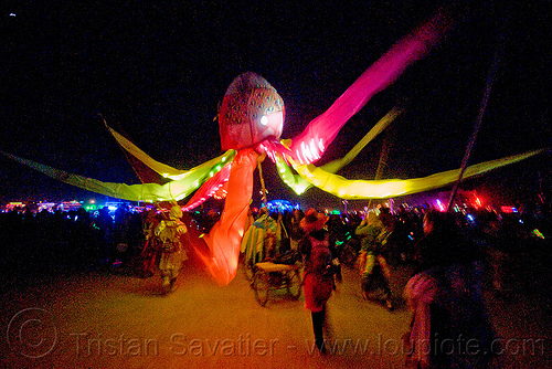 burning man - glowing octopus, burning man at night, octopus