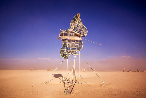 burning man - manta ray fly-by, art installation, fish, fly-by, flying, manta ray, sculpture, stain glass