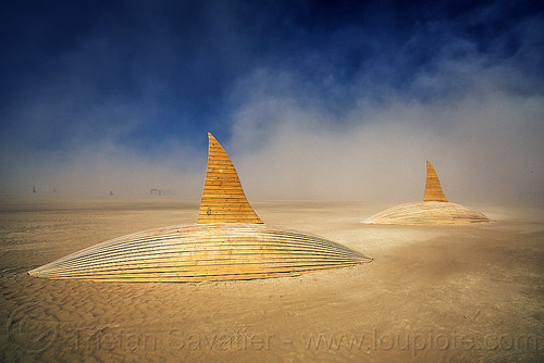 burning man - orcas swimming in the desert, art installation, orca project, orcas, sculpture