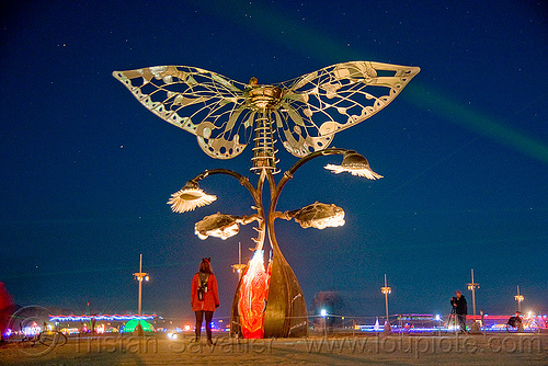 burning man - portal of evolution at night - butterfly, art installation, bryan tedrick, burning man at night, butterfly, portal of evolution