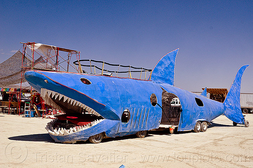 burning man - shark art car, burning man art cars, fish art car, mutant vehicles, shark art car