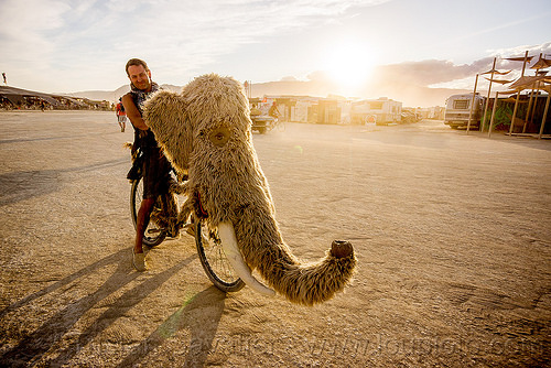 burning man - woolly mammoth bicycle, bicycle, bike, fur, furry, head, mammoth, man, riding, trunk, tusk