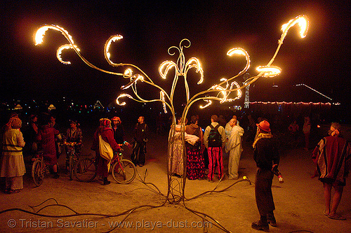 burning tree sculpture - burning man 2006, art installation, burning man at night, burning tree, fire, kasia wojnarski