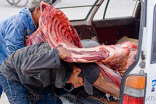 butcher carrying a beef quarter, beef, bolivia, butchers, car, carcass, carrying, delivery, heavy, man, meat market, meat shop, raw meat, rib cage, ribs