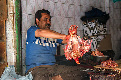butcher preparing a freshly slaughtered chichen, blood, butcher, chicken meat, delhi, dismembering, halal, man, meat market, meat shop, meat shot, poultry, raw meat, skinning