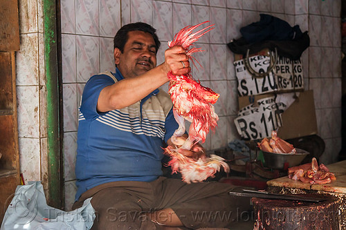 butcher skinning and dismembering a chichen, blood, butcher, chicken meat, delhi, dismembering, halal, man, meat market, meat shop, meat shot, poultry, raw meat, skinning