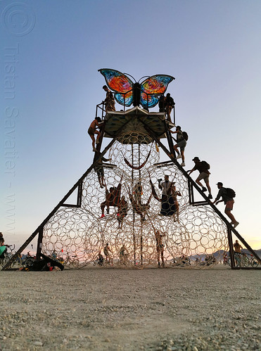 the butterfly - burning man 2019, art installation, burning man, swig miller, the phoenix and the butterfly