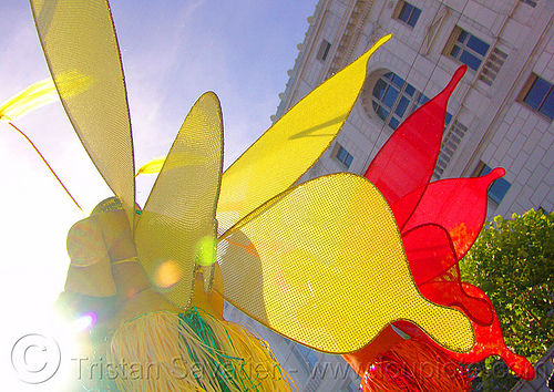 butterfly costumes - gay pride (san francisco), backlight, butterflies, butterfly wings, colorful, costumes, gay pride festival, red, yellow