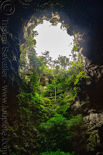 callao cave - natural cave near tuguegarao (philippines), cave mouth, caving, natural cave, philippines, plants, spelunking, tuguegarao