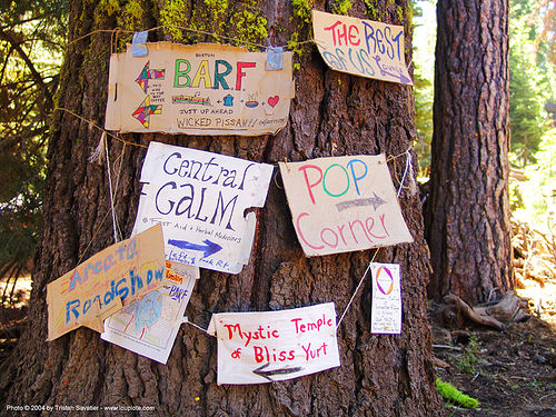 camps-signs - rainbow gathering - hippie, camp signs, directions, hippie, tree trunk