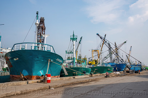 cargo ships docked in surabaya harbor, boat, cargo ship, dock, harbor crane, merchant ship, surabaya