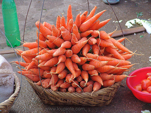 carrots bunch - vietnam, carrots, farmers market, lang sơn, orange, street market, street seller, vegetables, vietnam