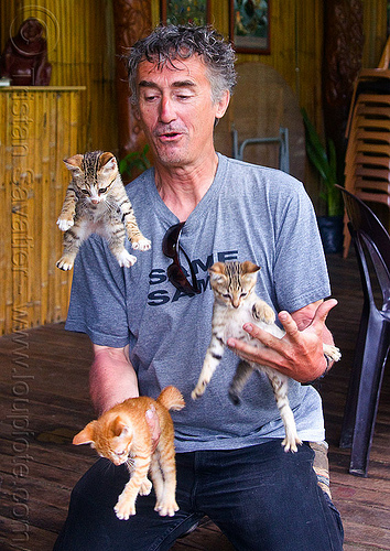 cat juggling, borneo, cat juggling, cats, flying, ginger kitten, juggler, kittens, mackerel tabby, malaysia, man, self portrait