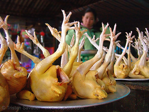 chicken with feet up - poultry market (vietnam), chicken feet, chicken legs, chicken meat, chickens, meat market, merchant, poultry, vendor