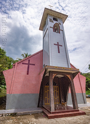 church in tana toraja, church, dogs, tana toraja