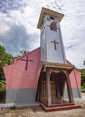 church in tana toraja, belltower, church, dogs, tana toraja, tower