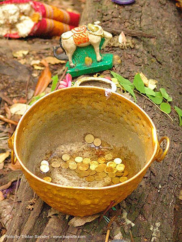 coins offering in golden pot - thailand, altar, coins, golden color, offerings, tree