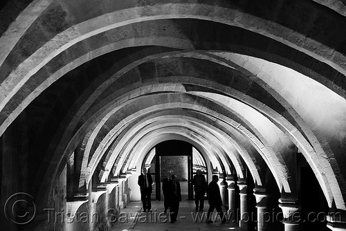 collège des bernardins - gothic architecture - crypt - stone vaults - monastery (paris), architecture, cellar, cistercian, collège des bernardins, crypt, gothic, medieval, monastery, stone vaults