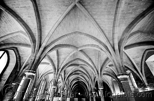 collège des bernardins - grand hall (paris), architecture, cistercian, collège des bernardins, gothic, medieval, monastery, stone vaults