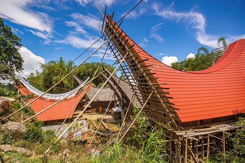 construction of the roof of a toraja house, bamboo scaffolding, construction, tana toraja, tongkonan house, tongkonan roof, village