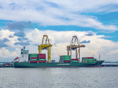 container cranes loading ever ally container ship, container cranes, container ship, containes, harbor cranes, surabaya
