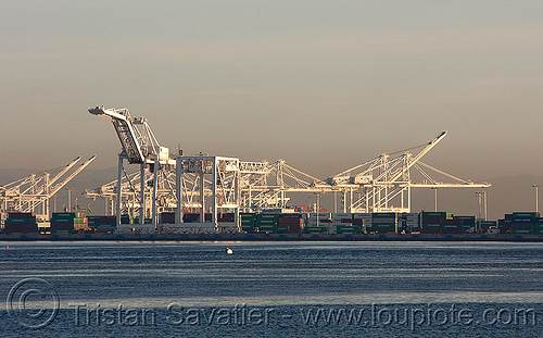 container cranes - oakland container terminal (california), container cranes, container terminal, containers, harbor cranes, harbour crane, port of oakland, portainers, san francisco bay, sf bay