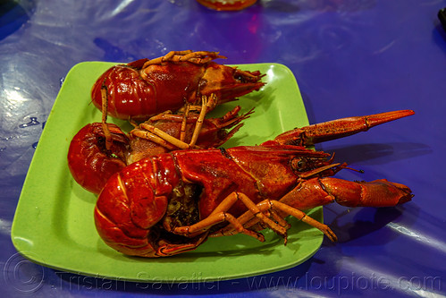 cooked lobsters, cooked, food, lobsters, manado, plate, red, seafood