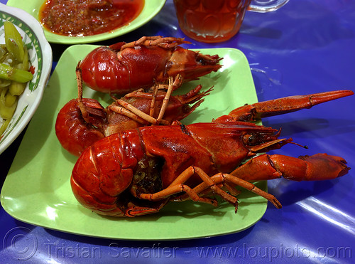 cooked lobsters on plate, cooked, food, lobster, manado, red, seafood