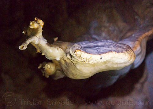 cool shaped stalactite in mulu national park (borneo), borneo, cave formations, caving, concretions, gunung mulu national park, lang cave, limestone, malaysia, natural cave, rock, speleothems, spelunking, stalactite