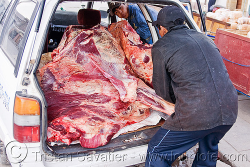 cow carcass in a car, beef, bolivia, butchers, car, carcass, delivery, man, meat market, meat shop, raw meat