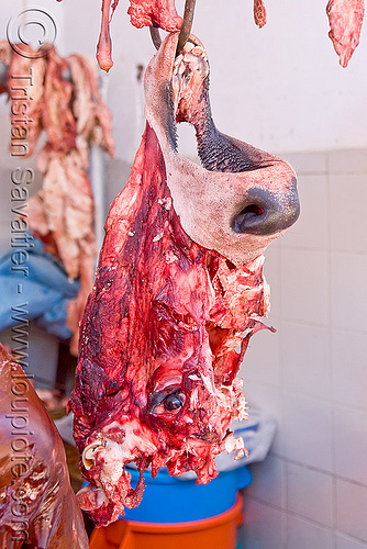 cow head - deboned, beef nose, bolivia, deboned, hanging, head, hook, meat market, meat shop, potos&iacute;, raw meat, snout