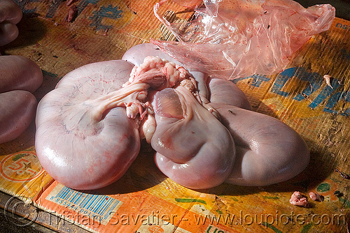 cow uterus at meat market (laos), beef, cow uterus, meat market, meat shop, raw meat, water buffalo