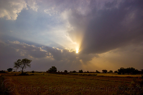 crepuscular rays - evening sky with clouds and sun rays over fields (india), cloudy, crepuscular rays, fields, sun rays through clouds