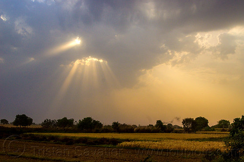 crepuscular rays - sun rays through clouds, cloudy, crepuscular rays, fields, sun rays through clouds