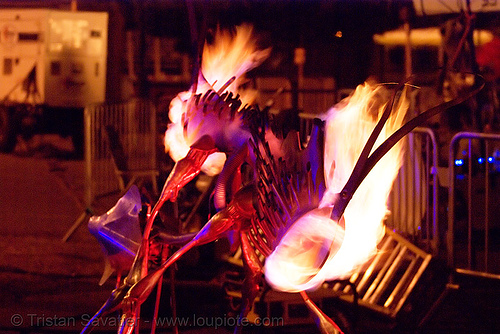 crucible fire arts festival 2007 (oakland, california), burning, fire art, orion fredericks