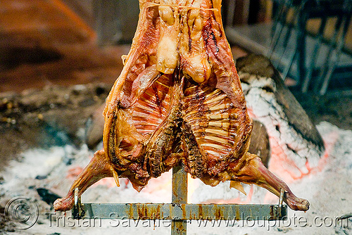 crucified lamb barbecue roasting in restaurant (buenos aires), argentina, asado, barbecue, bbq, buenos aires, carcass, cooked meat, cooking, crucified lamb, la estancia, lambs, restaurant, ribs, roasting, wood fire