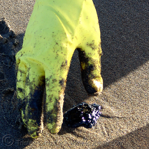 crude oil pollution clean-up, bunker oil, clean-up, crude oil, environment, glove, ocean beach, oil leak, pollution, san francisco oil spill, sand