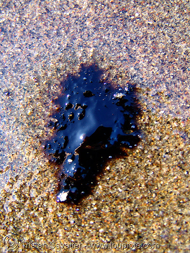 crude oil pollution on beach, bunker oil, crude oil, environment, ocean beach, oil leak, pollution, san francisco oil spill, sand