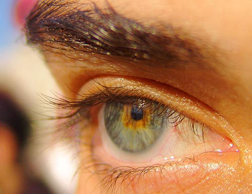 dani's eye - sea monkey, beautiful eyes, closeup, dani, eye color, eyebrow, eyelashes, iris, woman