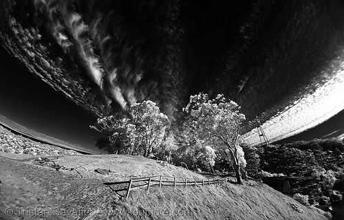 daylight infrared fisheye photo of the san francisco sky, clouds, fisheye, near infrared, sutro tower, tank hill, trees