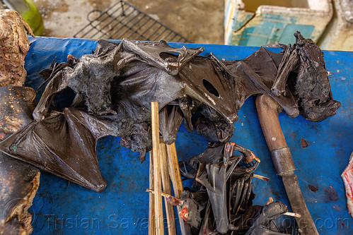 dead bats at meat market, bada valley, bat meat, black flying foxes, black fruit bats, bushmeat, dead bats, meat market, meat shop, pteropus alecto, raw meat