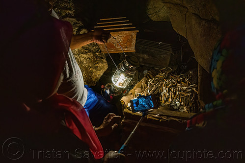 dead smoker - cigarette offering in toraja coffin - londa - toraja cave burial site, burial site, cemetery, coffins, grave, graveyard, liang, londa burial cave, londa cave, man, tana toraja, tomb