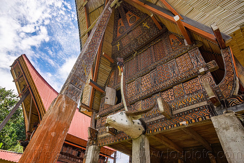 decorated toraja house with traditional tongkonan horn-shape roof, decorated, pa'tedong, tana toraja, tongkonan house, tongkonan roof, village