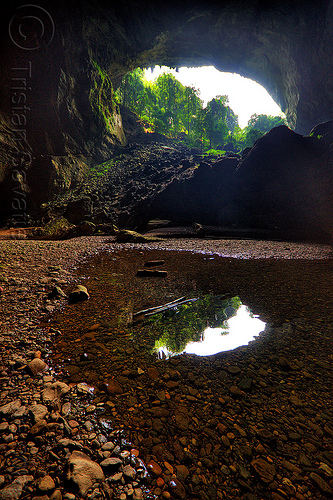 deer cave mouth at garden of eden - mulu (borneo), backlight, borneo, cave mouth, caving, deer cave, garden of eden, gunung mulu national park, jungle, malaysia, natural cave, pebbles, rain forest, spelunking, trees