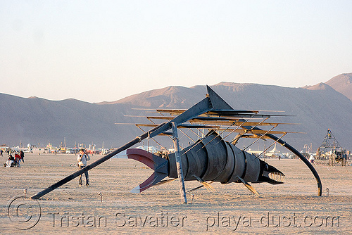 desert fish, art installation, fish, sculpture