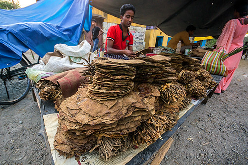 dried tobacco leaves on stall at street market (india), dried, gairkata, stall, street market, street seller, tobacco leaves, vendor, west bengal