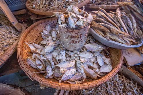 dry fish on the market, dry fish, fish market, tana toraja