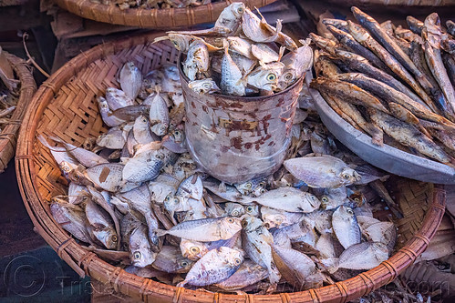 dry fish on the market, dry fish, fish market, tana toraja